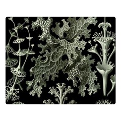 Weave Haeckel Lichenes Photobionten Premium Plush Fleece Blanket (large)