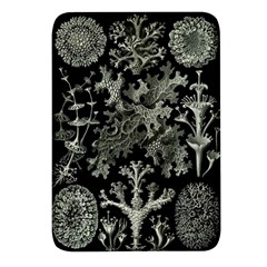 Weave Haeckel Lichenes Photobionten Rectangular Glass Fridge Magnet (4 Pack)