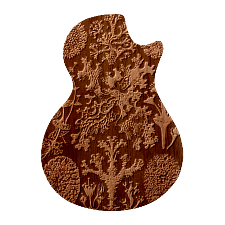 Weave Haeckel Lichenes Photobionten Guitar Shape Wood Guitar Pick Holder Case And Picks Set