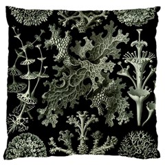 Weave Haeckel Lichenes Photobionten 16  Baby Flannel Cushion Case (two Sides) by Cemarart