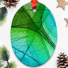 3d Leaves Texture Sheet Blue Green Ornament (oval)