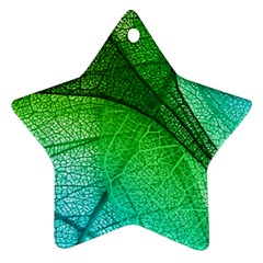 3d Leaves Texture Sheet Blue Green Ornament (star) by Cemarart