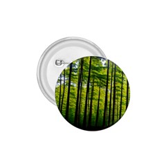 Green Forest Jungle Trees Nature Sunny 1 75  Buttons by Ravend