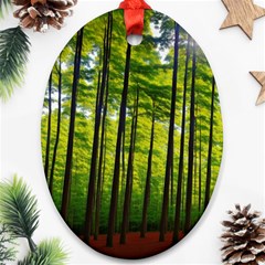 Green Forest Jungle Trees Nature Sunny Ornament (oval)