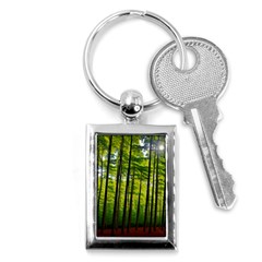 Green Forest Jungle Trees Nature Sunny Key Chain (rectangle) by Ravend