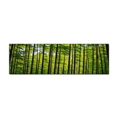 Green Forest Jungle Trees Nature Sunny Sticker (bumper) by Ravend