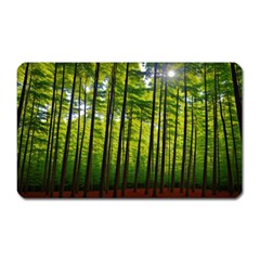 Green Forest Jungle Trees Nature Sunny Magnet (rectangular) by Ravend