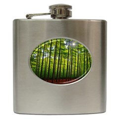 Green Forest Jungle Trees Nature Sunny Hip Flask (6 Oz) by Ravend