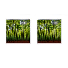 Green Forest Jungle Trees Nature Sunny Cufflinks (square) by Ravend