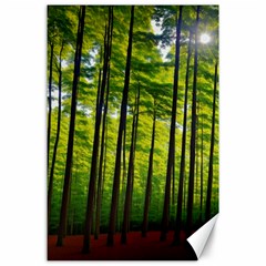 Green Forest Jungle Trees Nature Sunny Canvas 24  X 36  by Ravend