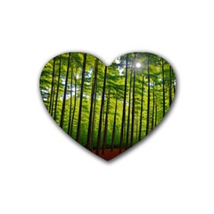 Green Forest Jungle Trees Nature Sunny Rubber Coaster (heart) by Ravend