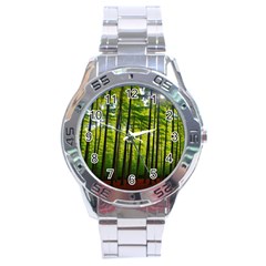 Green Forest Jungle Trees Nature Sunny Stainless Steel Analogue Watch by Ravend