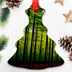 Green Forest Jungle Trees Nature Sunny Ornament (christmas Tree) 