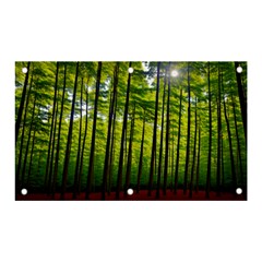 Green Forest Jungle Trees Nature Sunny Banner And Sign 5  X 3  by Ravend