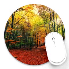 Forest Woods Autumn Nature Round Mousepad by Proyonanggan