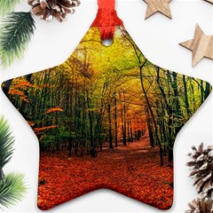 Forest Woods Autumn Nature Ornament (star)