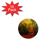 Forest Woods Autumn Nature 1  Mini Buttons (10 Pack)  by Proyonanggan