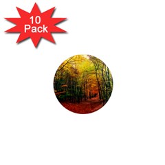 Forest Woods Autumn Nature 1  Mini Magnet (10 Pack)  by Proyonanggan