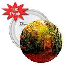 Forest Woods Autumn Nature 2 25  Buttons (100 Pack)  by Proyonanggan