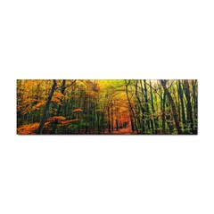 Forest Woods Autumn Nature Sticker (bumper) by Proyonanggan