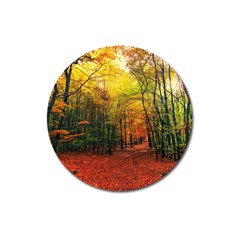 Forest Woods Autumn Nature Magnet 3  (round) by Proyonanggan