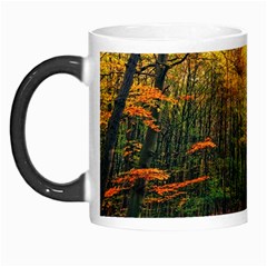 Forest Woods Autumn Nature Morph Mug by Proyonanggan