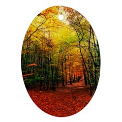 Forest Woods Autumn Nature Oval Ornament (two Sides)