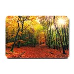 Forest Woods Autumn Nature Small Doormat 24 x16  Door Mat