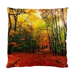 Forest Woods Autumn Nature Standard Cushion Case (two Sides) by Proyonanggan