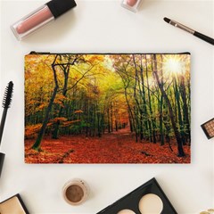 Forest Woods Autumn Nature Cosmetic Bag (large) by Proyonanggan