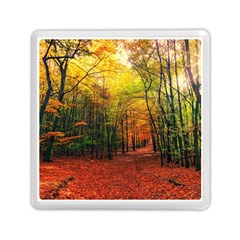 Forest Woods Autumn Nature Memory Card Reader (square) by Proyonanggan