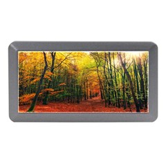 Forest Woods Autumn Nature Memory Card Reader (mini) by Proyonanggan