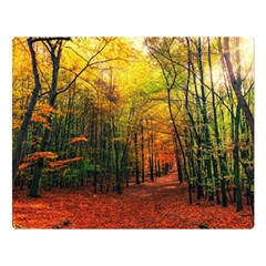 Forest Woods Autumn Nature Two Sides Premium Plush Fleece Blanket (large) by Proyonanggan