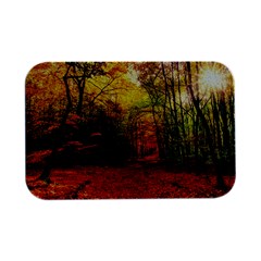 Forest Woods Autumn Nature Open Lid Metal Box (silver)   by Proyonanggan