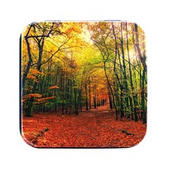 Forest Woods Autumn Nature Square Metal Box (black) by Proyonanggan