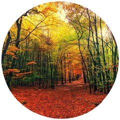 Forest Woods Autumn Nature Wooden Puzzle Round by Proyonanggan