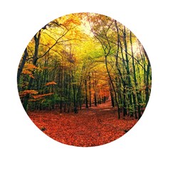 Forest Woods Autumn Nature Mini Round Pill Box (pack Of 3) by Proyonanggan