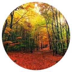 Forest Woods Autumn Nature Uv Print Acrylic Ornament Round by Proyonanggan