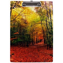 Forest Woods Autumn Nature A4 Acrylic Clipboard by Proyonanggan