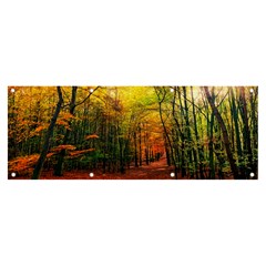 Forest Woods Autumn Nature Banner And Sign 8  X 3  by Proyonanggan