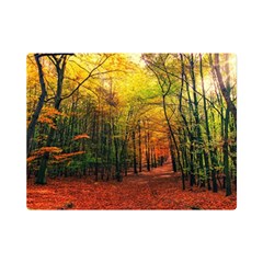 Forest Woods Autumn Nature Premium Plush Fleece Blanket (mini) by Proyonanggan