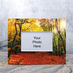 Forest Woods Autumn Nature White Tabletop Photo Frame 4 x6  by Proyonanggan