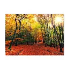 Forest Woods Autumn Nature Crystal Sticker (a4) by Proyonanggan