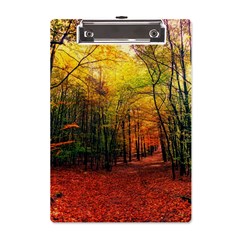 Forest Woods Autumn Nature A5 Acrylic Clipboard by Proyonanggan