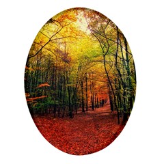 Forest Woods Autumn Nature Oval Glass Fridge Magnet (4 Pack) by Proyonanggan