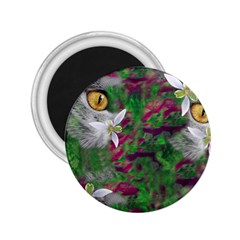 Illustrations Color Cat Flower Abstract Textures 2 25  Magnets