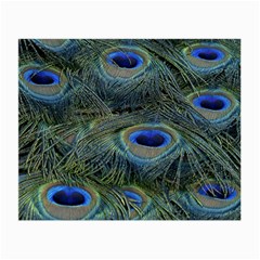 Peacock Feathers Details Small Glasses Cloth