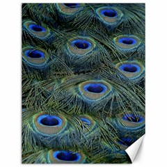 Peacock Feathers Details Canvas 12  x 16 