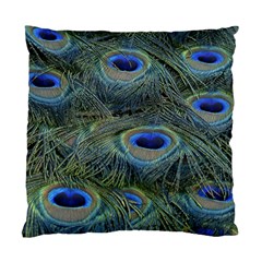 Peacock Feathers Details Standard Cushion Case (One Side)