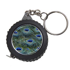 Peacock Feathers Details Measuring Tape by Loisa77